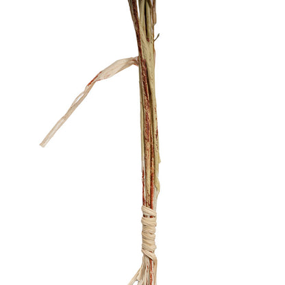 Wheat Spray Bunch 6 Head Beige (57cmH)