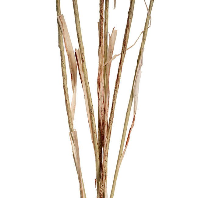 Wheat Spray Bunch 6 Head Beige (57cmH)