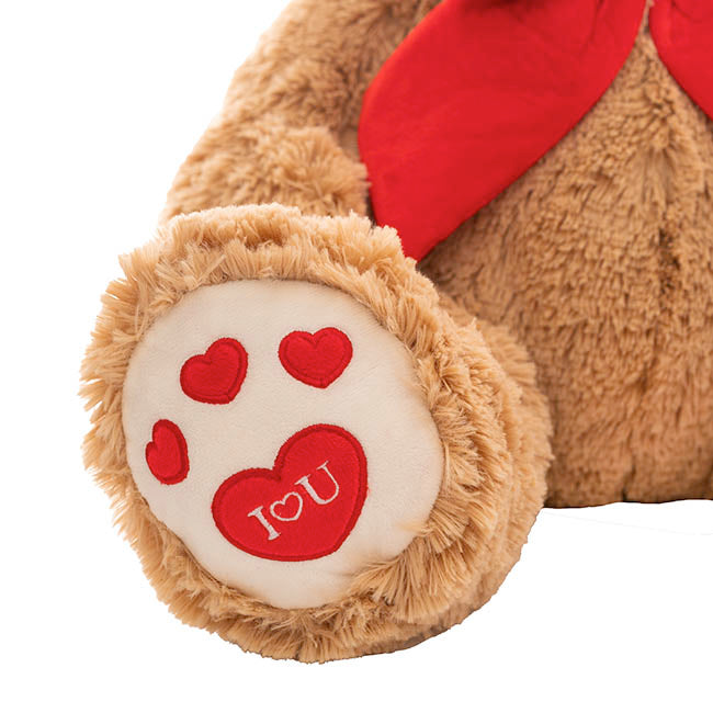 Ted the I Love You Teddy Bear Plush Toy Brown (45cmST)