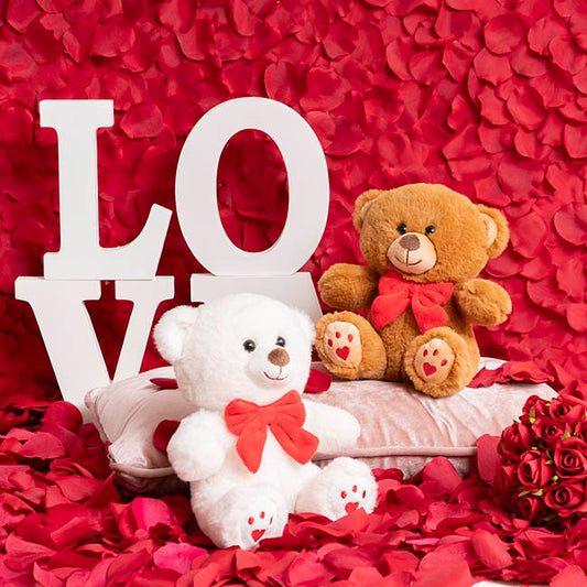 Teddy Bear Aiden w Red Bow Plush Soft Toy Brown (20cmST)