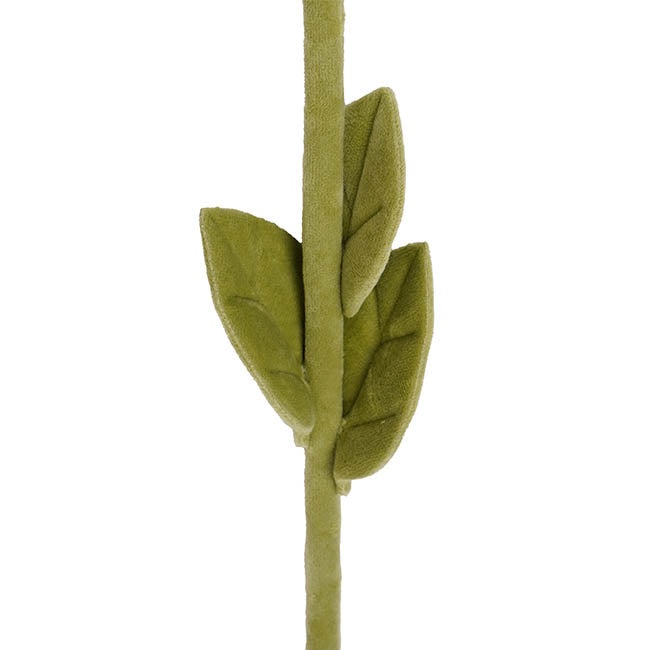 Rose Plush Stem Full Bloom White (7cmDx45cmH)