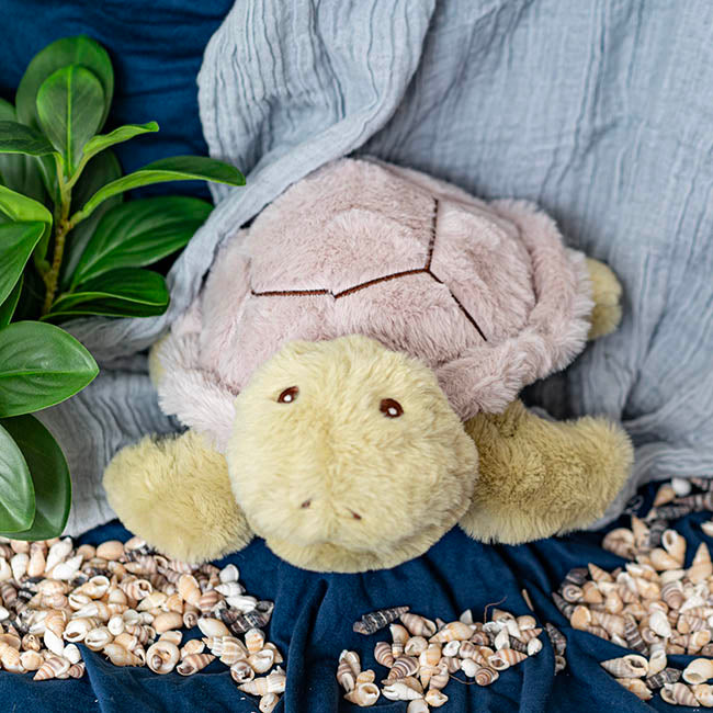 Turtle Merlin Plush Soft Toy Soft Olive Green (26x11cmHT)