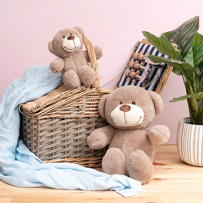 Mr Snuggles Plush Teddy Bear Taupe Brown (25cmST)