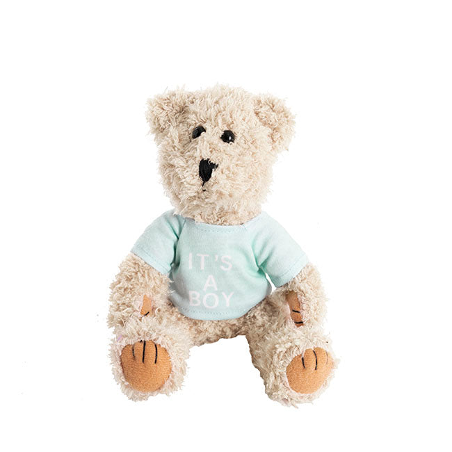 Teddy Bear Message Its a Boy Blue T Shirt (20cmHT)