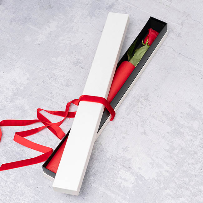 Pearlescent Ribbed Accent Rose Box Single Ivory (74x8x8cmH)