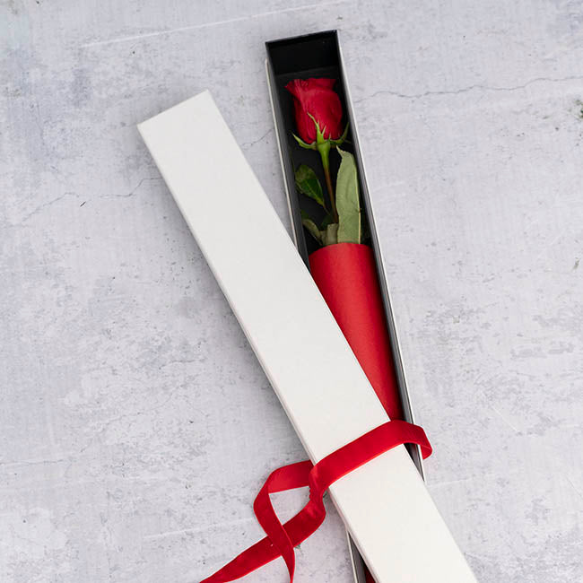 Pearlescent Ribbed Accent Rose Box Single Ivory (74x8x8cmH)