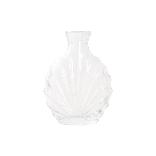 Glass Shell Shape Bottle Vase Clear (8.5x4x10.5cmH)