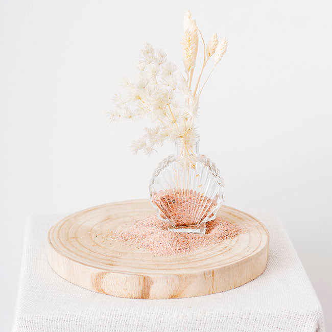 Glass Shell Shape Bottle Vase Clear (8x3.5x10.8cmH)