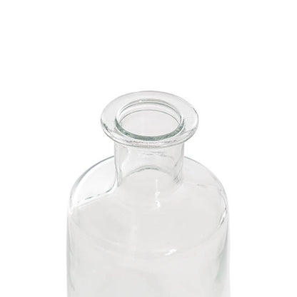 Glass Habitat Bottle Vase Clear (11.5x24cmH)
