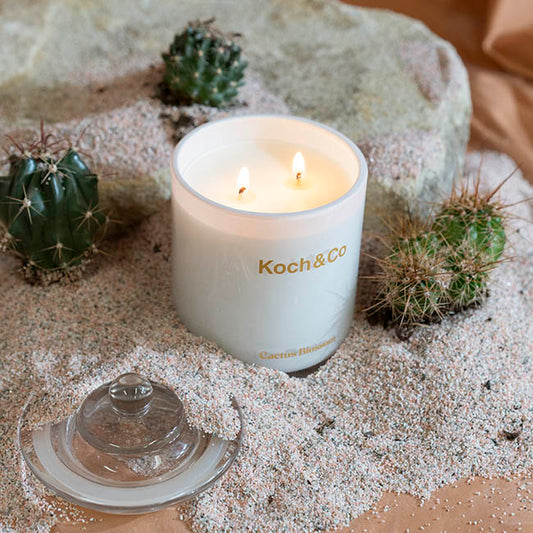 Fragrance Soy Candle Leisure Cactus Blossom (10x14.5cm) 360g