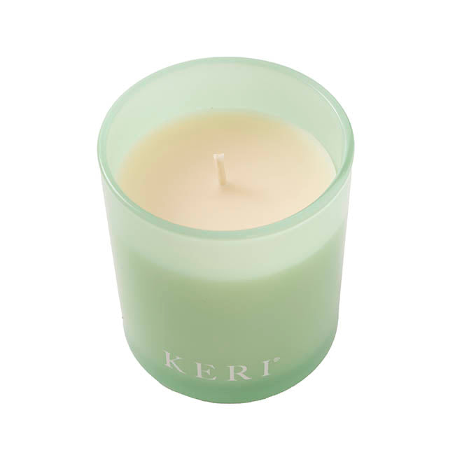 Scented Candle Palm Land Fleur Bleue 130g