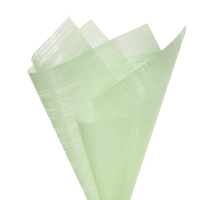 Frosted Cello 50mic Designer Stripes Sage Pk100 (50x70cm)