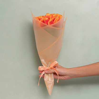 Cello Frosted Hue Silhouette 50mic Apricot Pk100 (50x70cm)