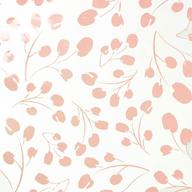 Cello Clear 40mic Eucalyptus Leaves Blush Pk100 (50x70cm)