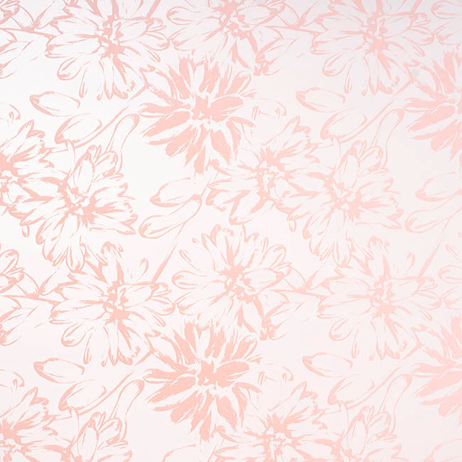 Cello Frosted 40mic Chrysanthemums Rosie Pk100 (50x70cm)