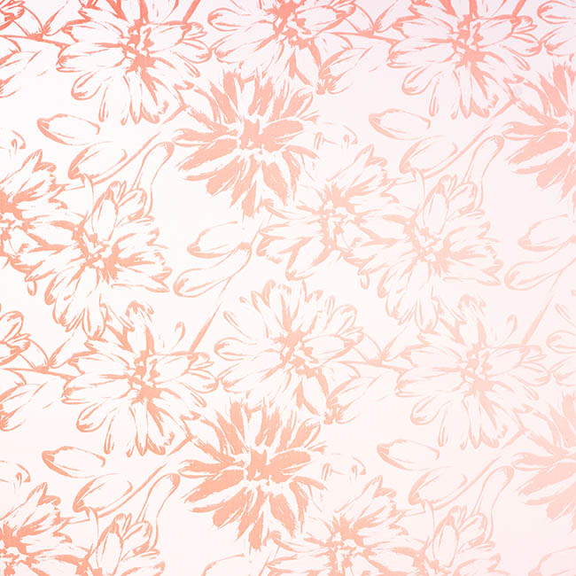 Cello Frosted 40mic Chrysanthemums Peach Pk100 (50x70cm)