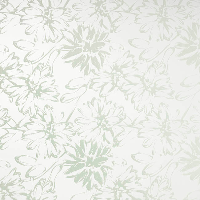 Cello Frosted 40mic Chrysanthemums Sage Pk100 (50x70cm)