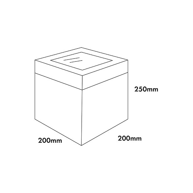 Cake Pastry Window Box Tall 8" Square White (20x20x25cmH)