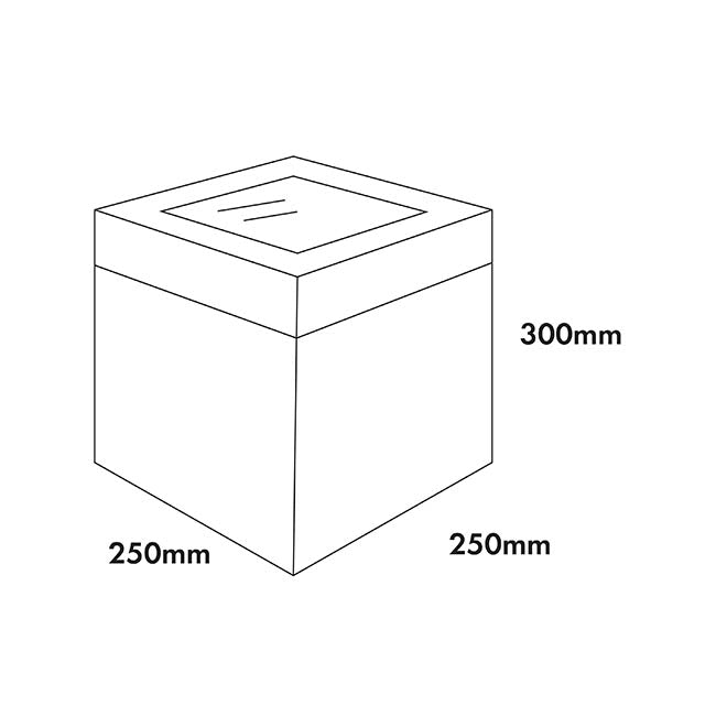 Cake Pastry Window Box Tall 10" Square White (25x25x30cmH)