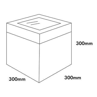 Cake Pastry Window Box Tall 12" Square White(30x30x30cmH)