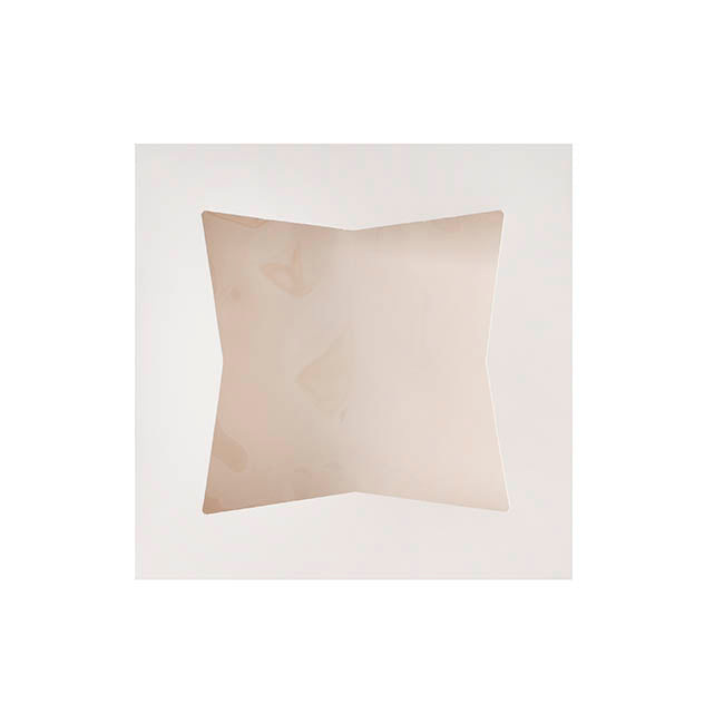 Cookie Pie Pastry Dessert Box 10" White Pack 2 (25x25x6cmH)