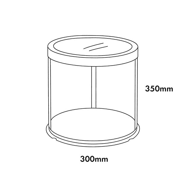 Display Cake Teddy Flower PET Box Round Lge White (30x35Hcm)