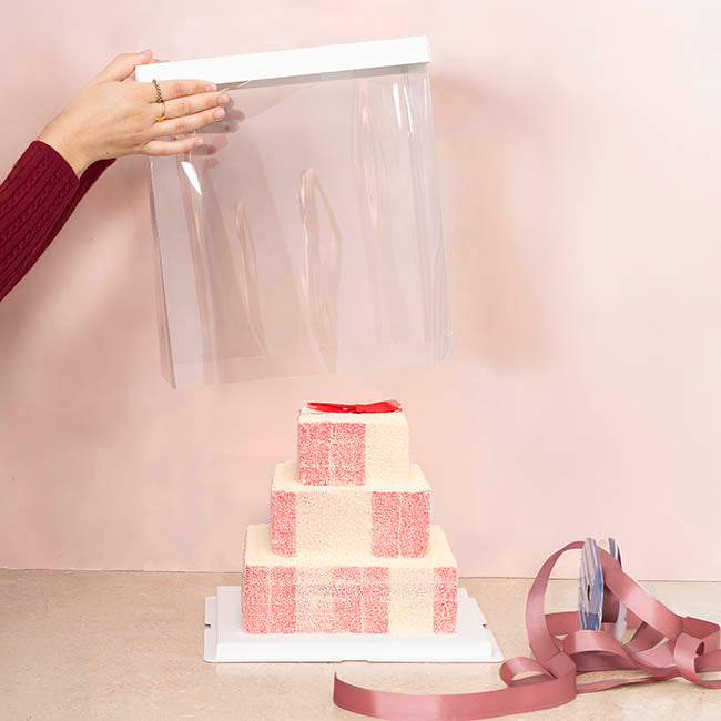 Display Cake Teddy Flower PET Box Square Lge White(30x35Hcm)