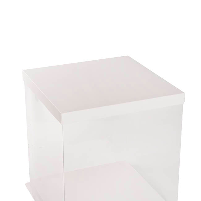 Display Cake Teddy Flower PET Box Square Lge White(30x35Hcm)