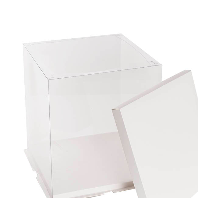 Display Cake Teddy Flower PET Box Square Lge White(30x35Hcm)