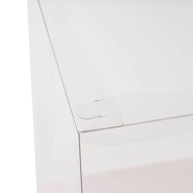 Display Cake Teddy Flower PET Box Square Lge White(30x35Hcm)