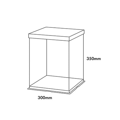 Display Cake Teddy Flower PET Box Square Lge White(30x35Hcm)