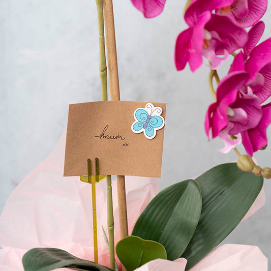 Sticker Wooden Butterflies  Assorted Pack 50 (38Wmmx35Hmm)