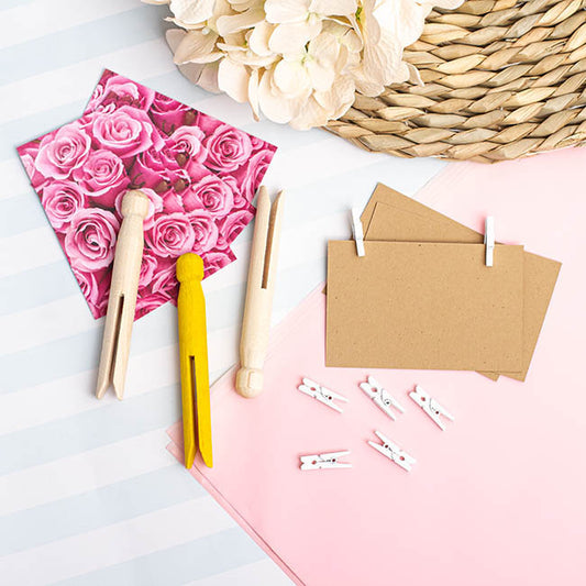 Wooden Craft Pegs Pack 25 White (35mm)