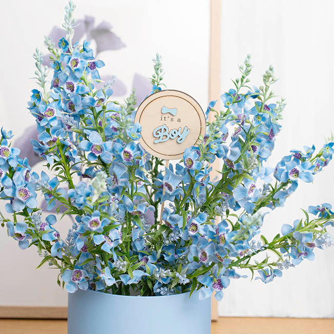 Wooden It's a Boy Round Picks Pack 12 Blue (7cmDx32cmH)