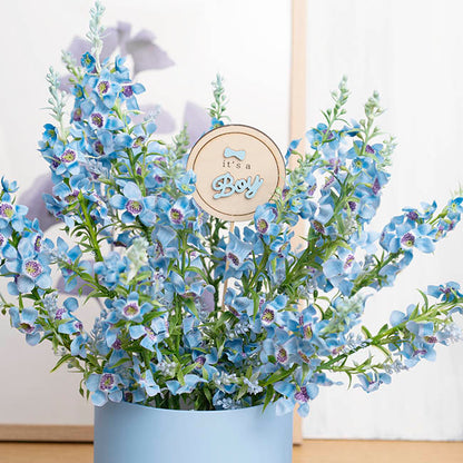 Wooden It's a Boy Round Picks Pack 12 Blue (7cmDx32cmH)