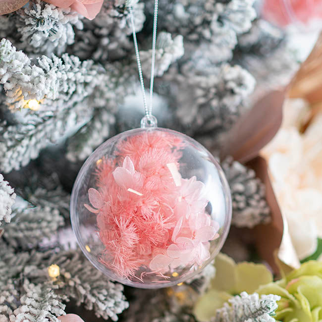 Hanging Clear Bauble Pack 5 (10cmD)