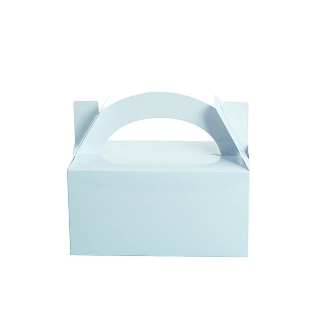 Lunch Box Cardboard Pastel Blue 5pk (20x16x12cm)