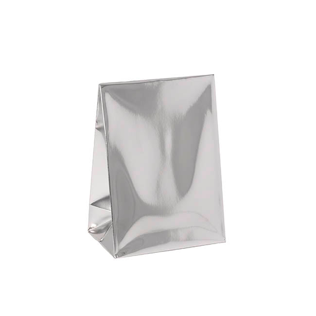 Paper Party Bags Pack 10 Metallic Silver (18x13x8cm)
