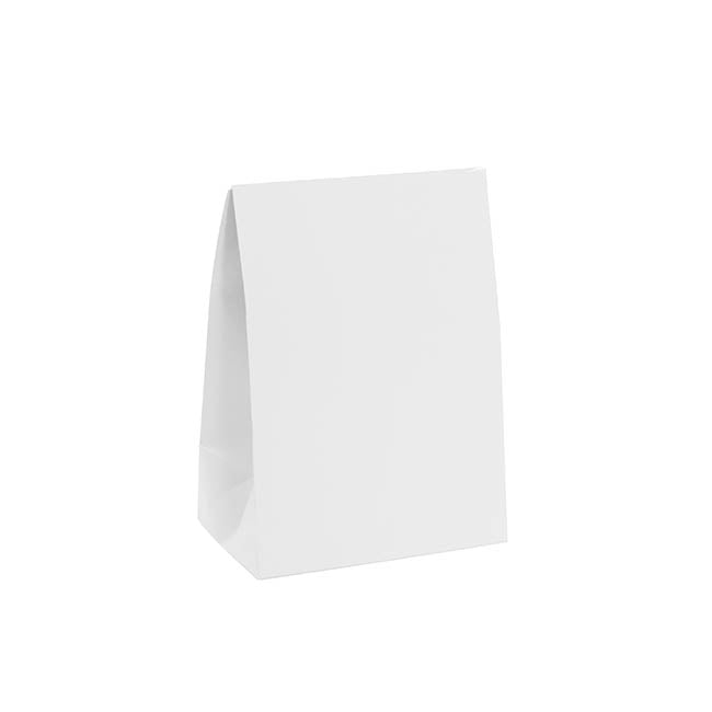 Paper Party Bags Pack 10 White (18x13x8cm)
