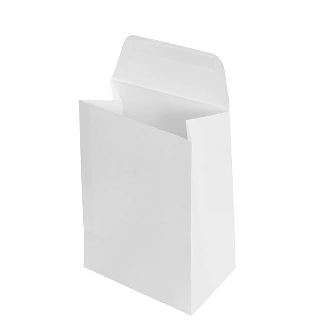Paper Party Bags Pack 10 White (18x13x8cm)