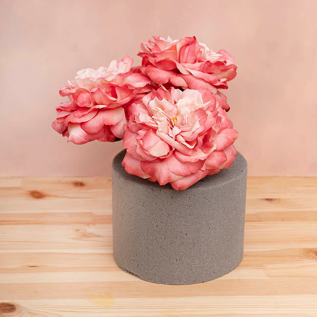 Dry Strass Floral Foam IDEAL Cake Cylinder (19Dx15cmH)