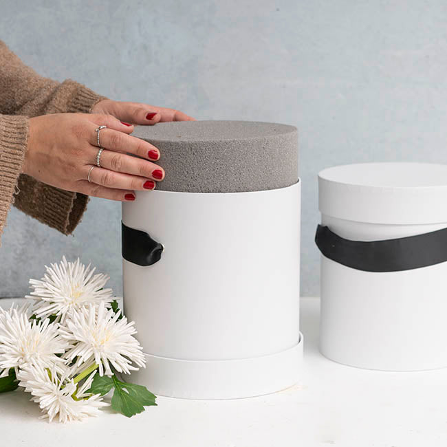 Dry Strass Floral Foam IDEAL Cake Cylinder (19Dx6cmH)