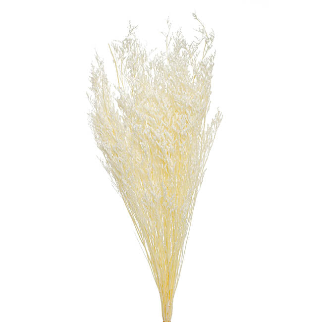 Preserved Dried Sea Lavender Bunch 100g White