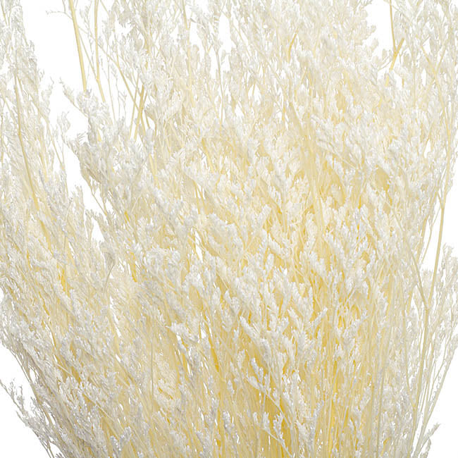 Preserved Dried Sea Lavender Bunch 100g White