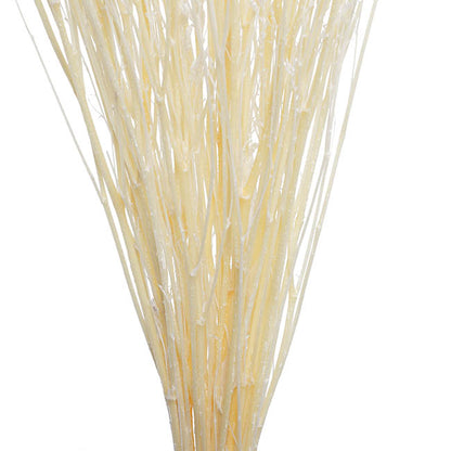 Preserved Dried Sea Lavender Bunch 100g White
