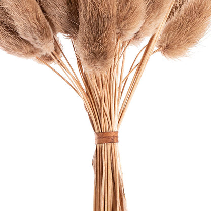 Preserved Dried Bunny Tail Bunch 60 Natural Brown