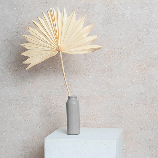 Preserved Dried Sun Cut Palm Leaf Light Beige (40-45cmH)