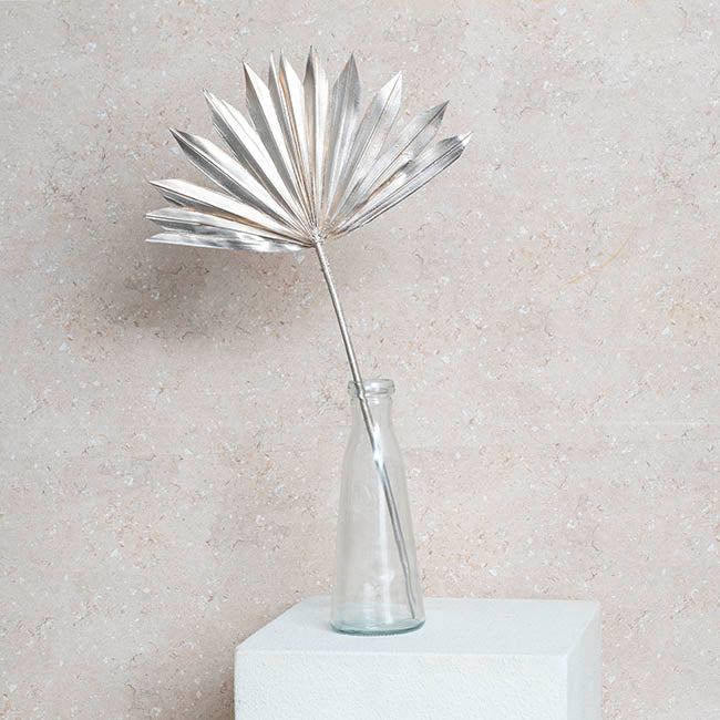 Preserved Dried Sun Cut Palm Leaf Champagne (40-45cmH)