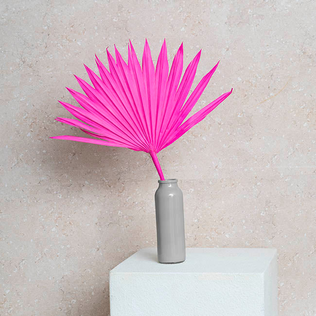 Preserved Dried Sun Cut Palm Leaf Hot Pink (40-45cmH)