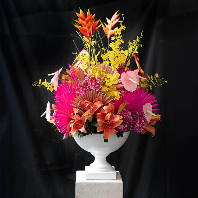 Preserved Dried Sun Cut Palm Leaf Hot Pink (40-45cmH)